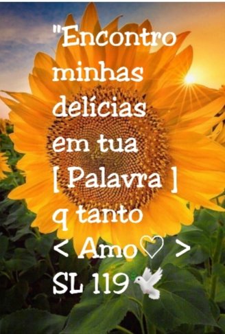 Paulo97813048's tweet photo. #conectadosComAPalavra #Girassóis #Exaltar #somosKairos #Bendizer #ServirProteger #BraçoForte #MãoAmiga #Maanaim @Rozane_Costa
'O Pai ama o Filho e entregou tudo em suas "[...] #EspadaDoEspírito #EducadorEspíritoSanto #NovoDia
@Jssica55272746 #BÍBLIA https://t.co/tVJWARyOWy