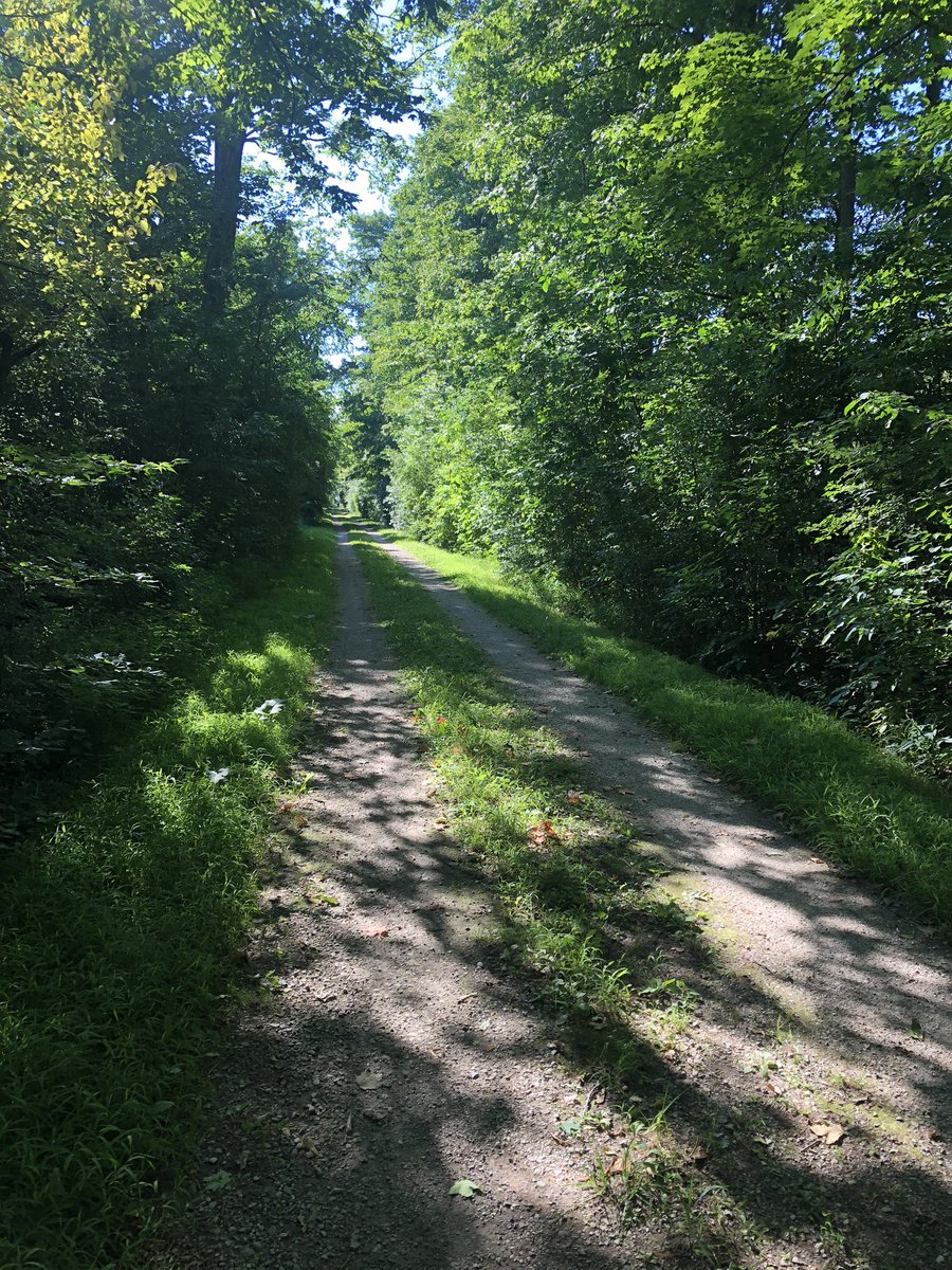 LaguitoGal's tweet photo. 5k on a shady trail to burn off some of that beach-camping Prosecco ๐พ๐
Look at the fantastic critters on the milkweed! A monarch caterpillar & a milkweed-beetle. Great colours, eh?
#CountryRunner #BeautifulBugs https://t.co/2nOO61Knx0