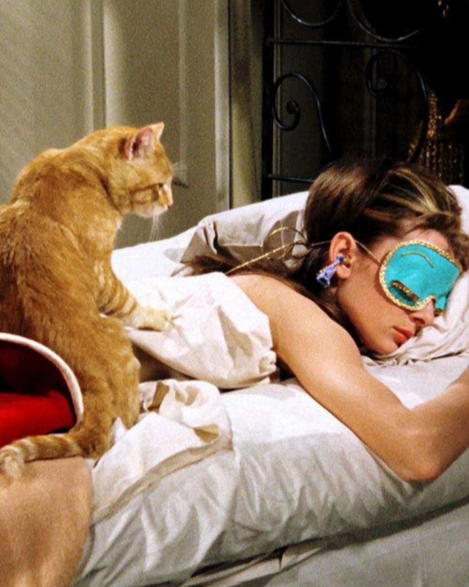 ProPhysioLondon's tweet photo. Audrey is definitely our mood for this weekend...
.
020 8879 1555
enquiries@prophysiotherapy.co.uk
https://t.co/lk4f4cvNSP
.
.
.
#prophysiotherapy #audreyhepburn #breakfastattiffanys #aesthetic #sw18mums #helloweekend #fridaythoughts https://t.co/GimXvs3q8c