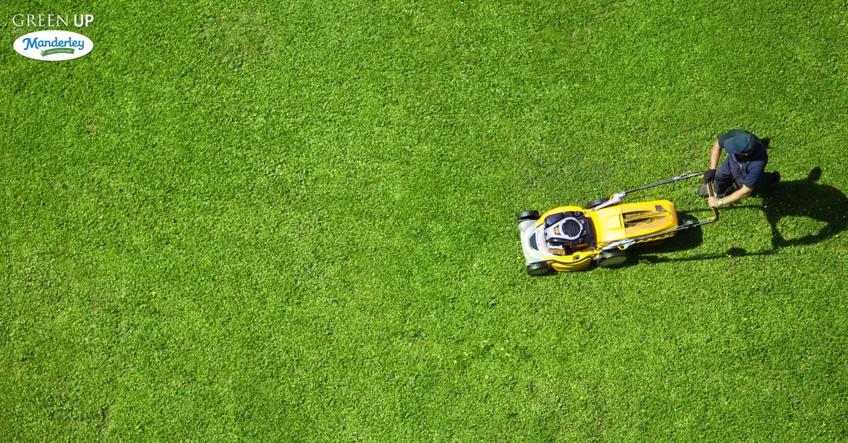 Proper mowing keeps your natural grass lawn healthy and beautiful! Bluegrass should be mowed at a height of between 1.5”-3.5” and Fine Fescue from 3”-4” for optimal plant growth.  #GreenUp!