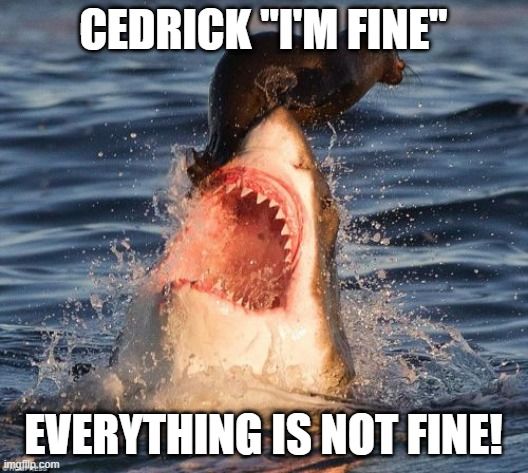 CharityMaeWrits's tweet photo. Cedrick is one talented seal! His life sure feels like he's a seal on an eternal Shark Week between Heklis and his father! https://t.co/ToMAksc6SN #sharkweek #sharkw2020 #sharkmeme #sharkweekmeme #meme #saturdaymeme #saturdaylife #CCBurning #CC3 #CCRising #Custodmeme https://t.co/lUjxa0Oqv1