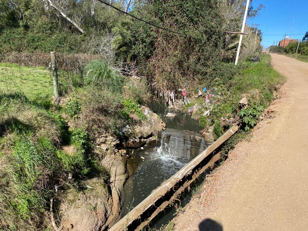 APerrone510's tweet photo. Recorriendo Barrio Talca, en Las Piedras, con nuestros candidatos al Municipio Marisel Álvarez y Jorge Paulette, viendo las obras en viviendas del Plan Juntos y escuchando reclamos a la Intendencia por obras en el arroyo lindero.
@Cabildo_UY https://t.co/1PnZB2yhjg