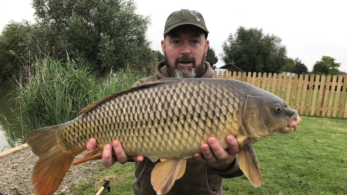 WithBowzer's tweet photo. Spot of #methodfishing today was good to be back out even in the π§ https://t.co/hgcgPjyULL