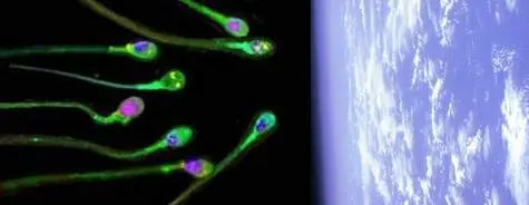 4. Panspermia - The Theory that Life came from Outer Space https://creation.com/images/pdfs/tj/j07_1/j07_1_82-87.pdf