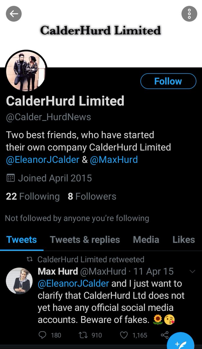 Her job(s): she's a model on Instagram (influencer) and she has a company with her friend. They created it in 2017 said the Wikipedia. Why is their only Twitter acc created in 2015?