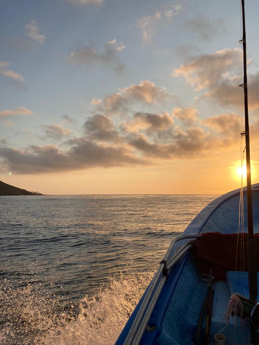 LaPazMXTours's tweet photo. Let's go for a fishing trip!
.
#LaPazBCS #BajaCaliforniaSur #Beach #Fishing #FishingTrip #FishingTour #Sailing #Yachting #Yacht #turquoisebeach #Travel #TravelAdventure #TravelJunkie #MexicanBeach #MexicanBeaches #Vacation #Holiday #PhotooftheDay #TravelPhotography #TravelBlogger https://t.co/niRYfzBa40