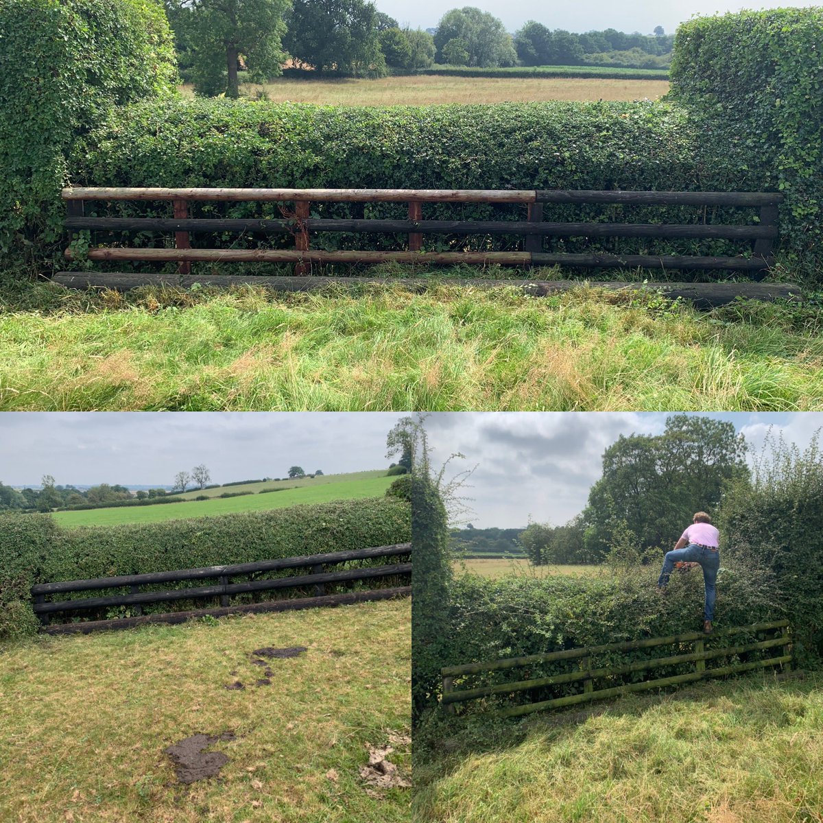 msshteamchase's tweet photo. Some course maintenance going on today. Many of the legendary hedges have had a haircut. The girls were getting stuck in with the strimmers. Shorts maybe weren’t the best choice of leg ware 🤦‍♂️😂 All with the hope we can run in October https://t.co/6UIt1eIDVk
