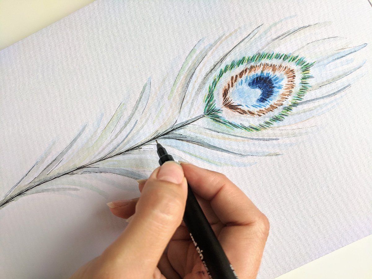roles_caroline's tweet photo. What a perfect Saturday- a morning catching up with my girlies, an afternoon walk plus drawing this beauty (been wanting to draw this for ages!) &amp; now the hubbies cooking me dinner! Hope you're all having a super Saturday! #lovefeathers #peacockfeather #featherart #wildlifeartist https://t.co/q9brrLjVcx