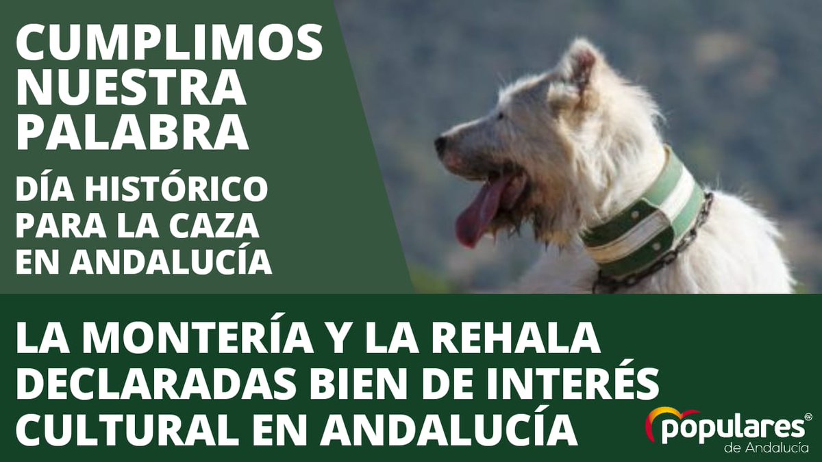 Las fotografías en internet tienen dueño, no son gratis.
300wm.blogspot.com/2020/08/las-fo…
#felixsm #blogmonteros #citaalautor #populares <a href="/populares/">life</a> <a href="/pacoleonCZ/">Paco León</a> <a href="/jaraysedal_es/">Revista Jara y Sedal</a> <a href="/club_caza/">Club de Caza</a> <a href="/JesusLancho4/">Jesus Lancho</a> <a href="/Cazaworld/">Cazaworld</a> <a href="/CazavisionTV/">Cazavisión+</a> <a href="/trofeocaza/">Trofeo Caza</a>