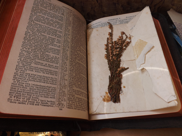 Grandad’s few personal possessions included this bible, which his father had also carried through the First World War. This bunch of heather is pressed within its pages. I wish I knew its significance.