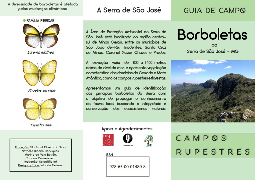 Taticornelissen's tweet photo. Guia ilustrado Borboletas da Serra de São José, Minas Gerais 🦋 @ellobrasil_ https://t.co/xIcdr0bjaj