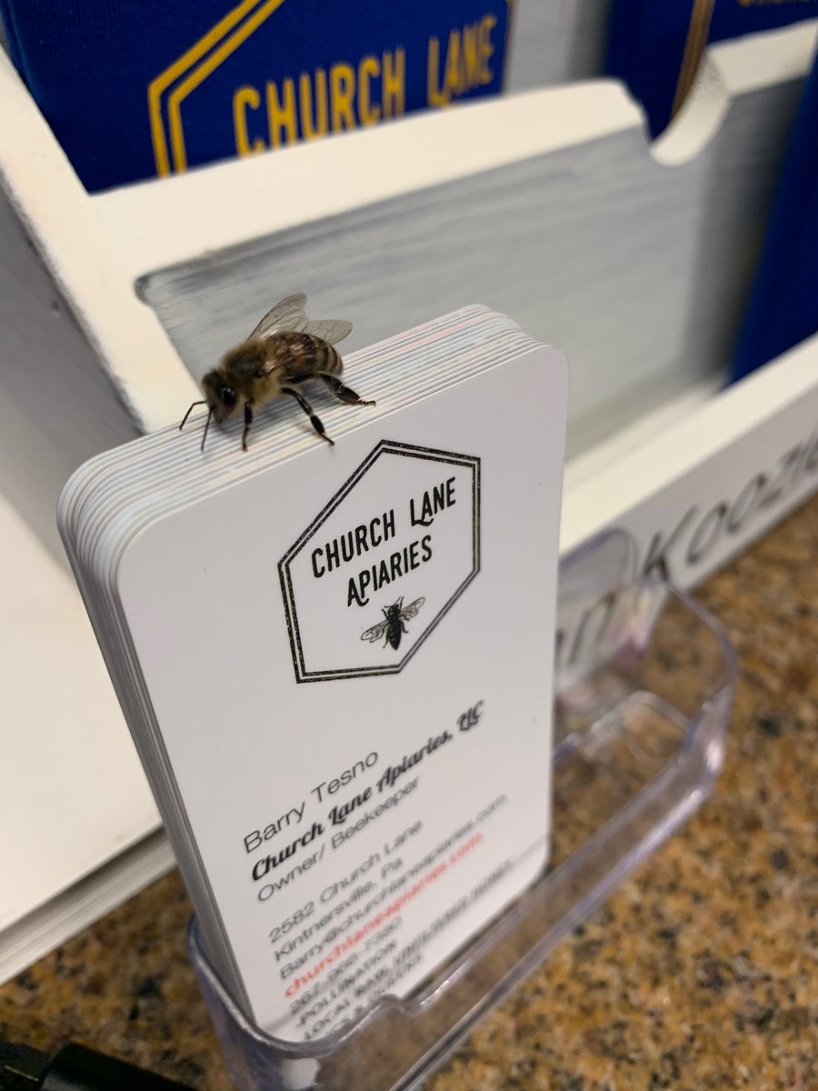churchlnapiary's tweet photo. Happy #NationalHoneyBeeDay without them our business wouldn’t exists https://t.co/mePOT0EuLH