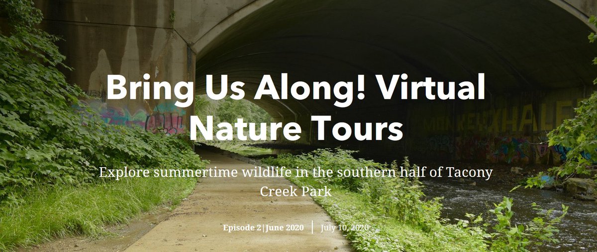 TTFWatershed's tweet photo. Dear @circuittrails "Bring Us Along!" is a series of interactive #virtual #tours. A companion for a real-world tour or a chance to explore #nature & #wildlife online from home. Discover North & South #TaconyCreekPark in these 2 tours: https://t.co/ZjmeFAJWvb #discoverTCP https://t.co/Ke2mCtJm4M