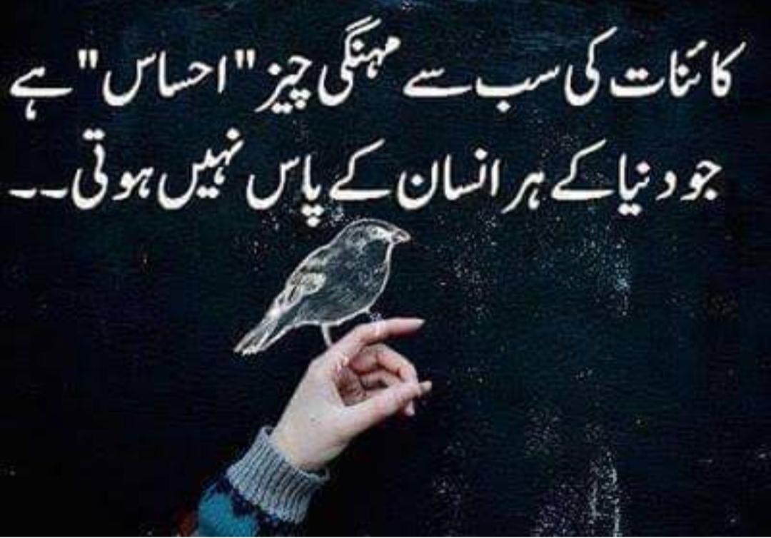 huma_masood's tweet photo. https://t.co/9Xl7a51HqJ