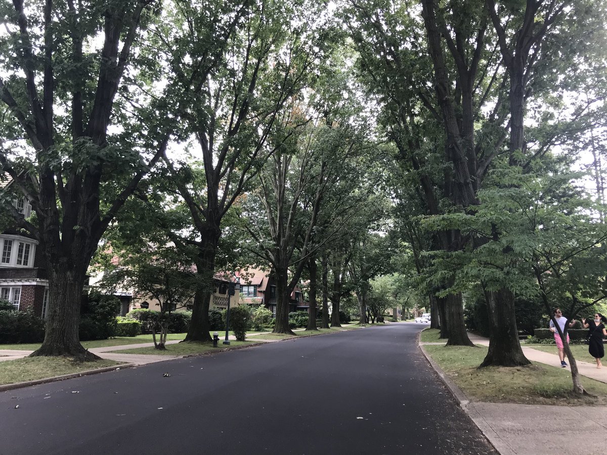 JanetLiff's tweet photo. #permitparking only on a #foresthills street.  Damn pretty. https://t.co/wurv3dlnBt