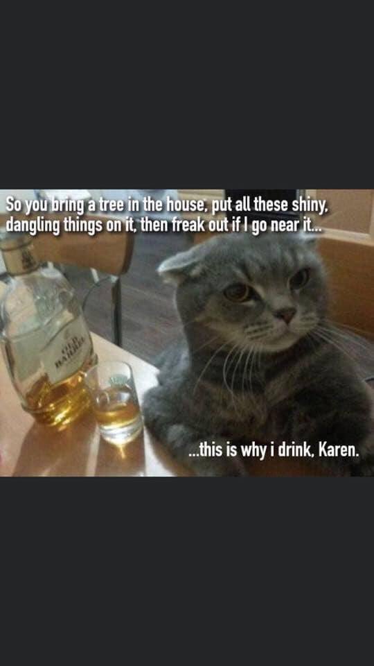 It’s not Christmas, but....
#hellcats2020 @HellcatsAnthol1