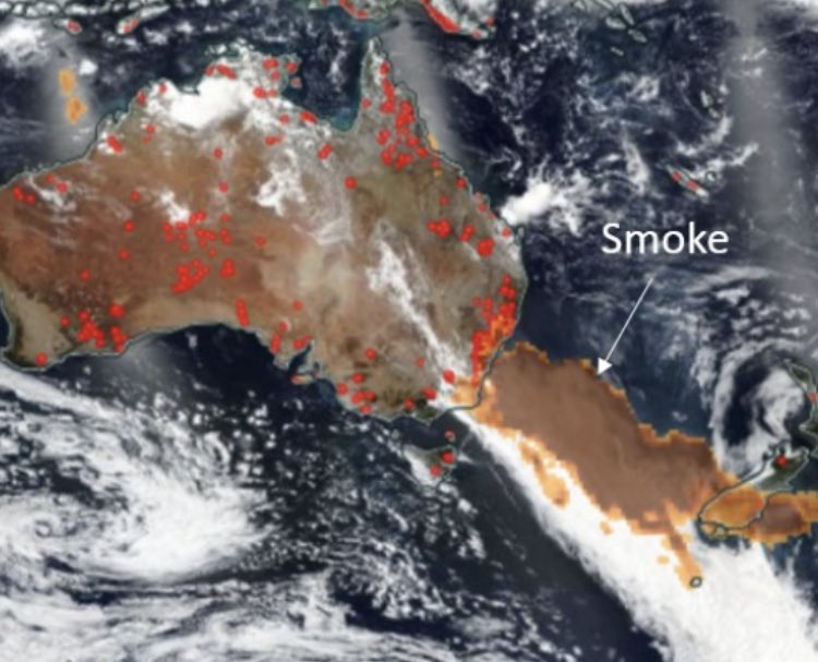 Australia caught fire and burned for months. 34 people and nearly 3 billion animals died or were forcibly displaced by the fires. photo: NASA