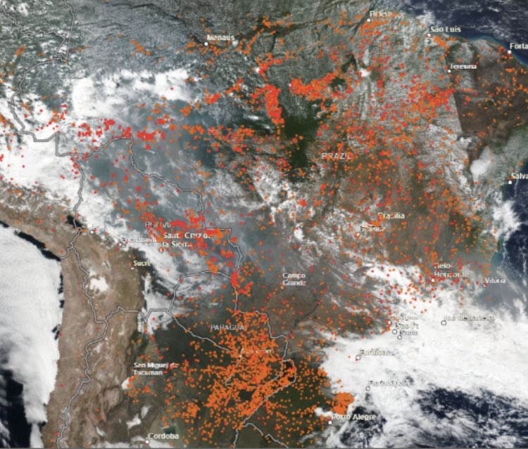 In the last 12 months:The Amazon burned. It’s burning again but Jair Bolsonaro closed the agency that told the world about it so now we don’t see it - this year it’s about 20% more destructive.