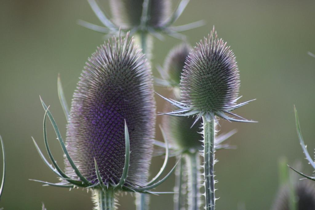 Belangrijk nieuws: cliënten die in een land met code oranje geweest zijn, dienen 2 weken in thuisquarantaine te blijven. Zij  kunnen niet voor een afspraak naar onze kliniek komen. Alle cliënten met voor COVID-19 verdachte symptomen dienen een negatieve Corona test te hebben.