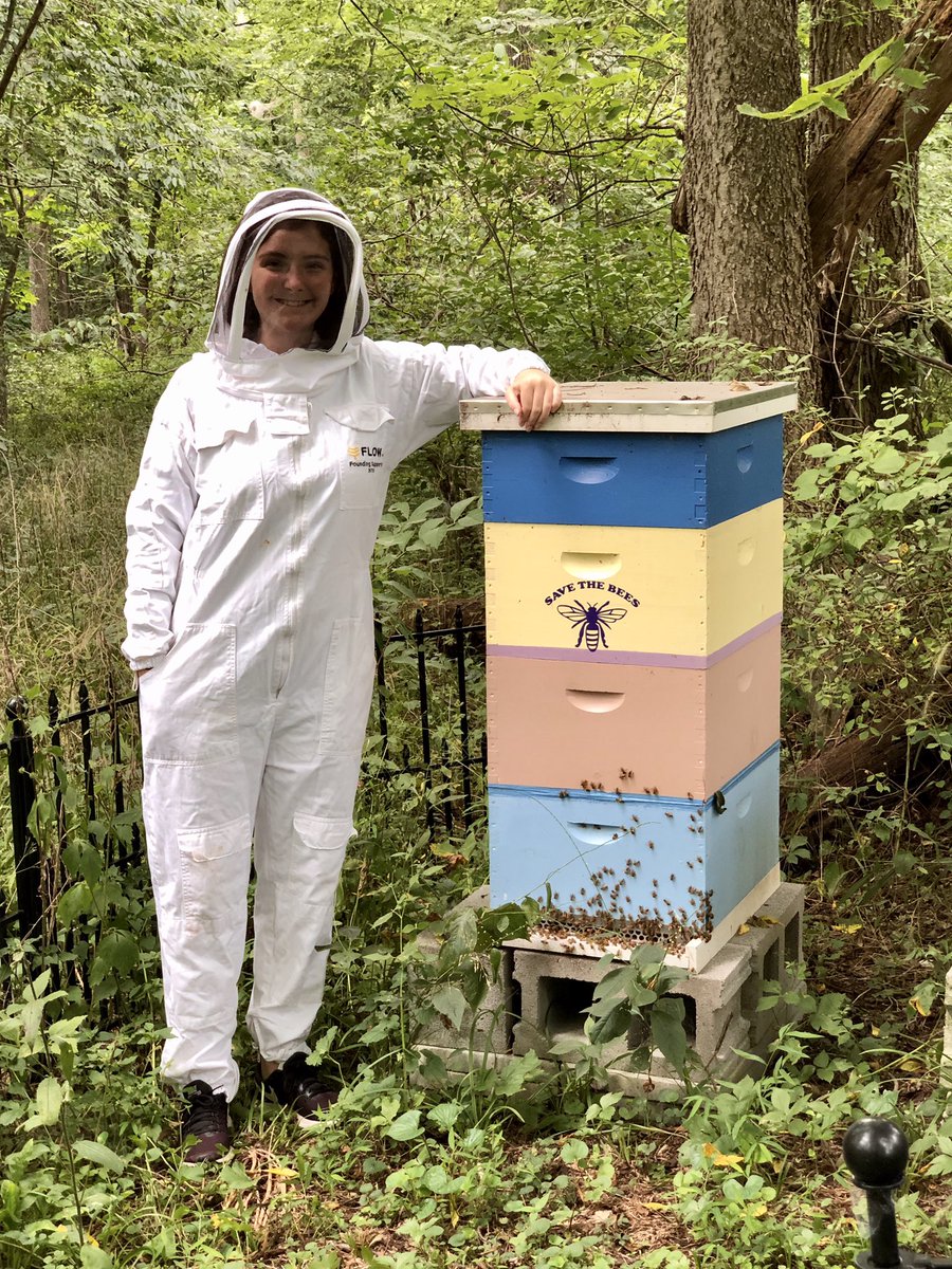 Perkiomen_Bees's tweet photo. My beehives are a refreshing source of order and structure in these uncertain times. Beekeeping keeps me grounded. Happy #NationalHoneyBeeDay to my fellow bee enthusiasts! https://t.co/ukCVJJZs0m
