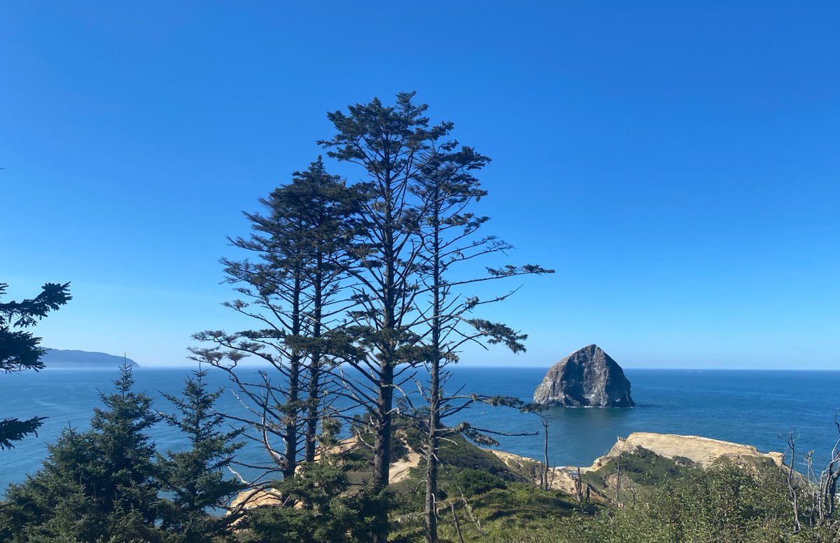 GoDucksnet's tweet photo. Another gross Saturday in Oregon https://t.co/NElBFQ4HbE