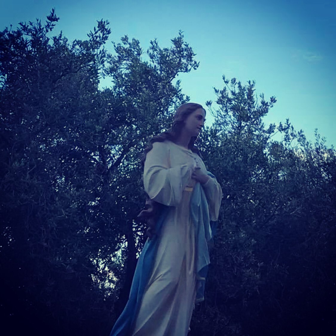 MarleneSavelli's tweet image. #SantaMaría #casevecchie 💙💙💙💙