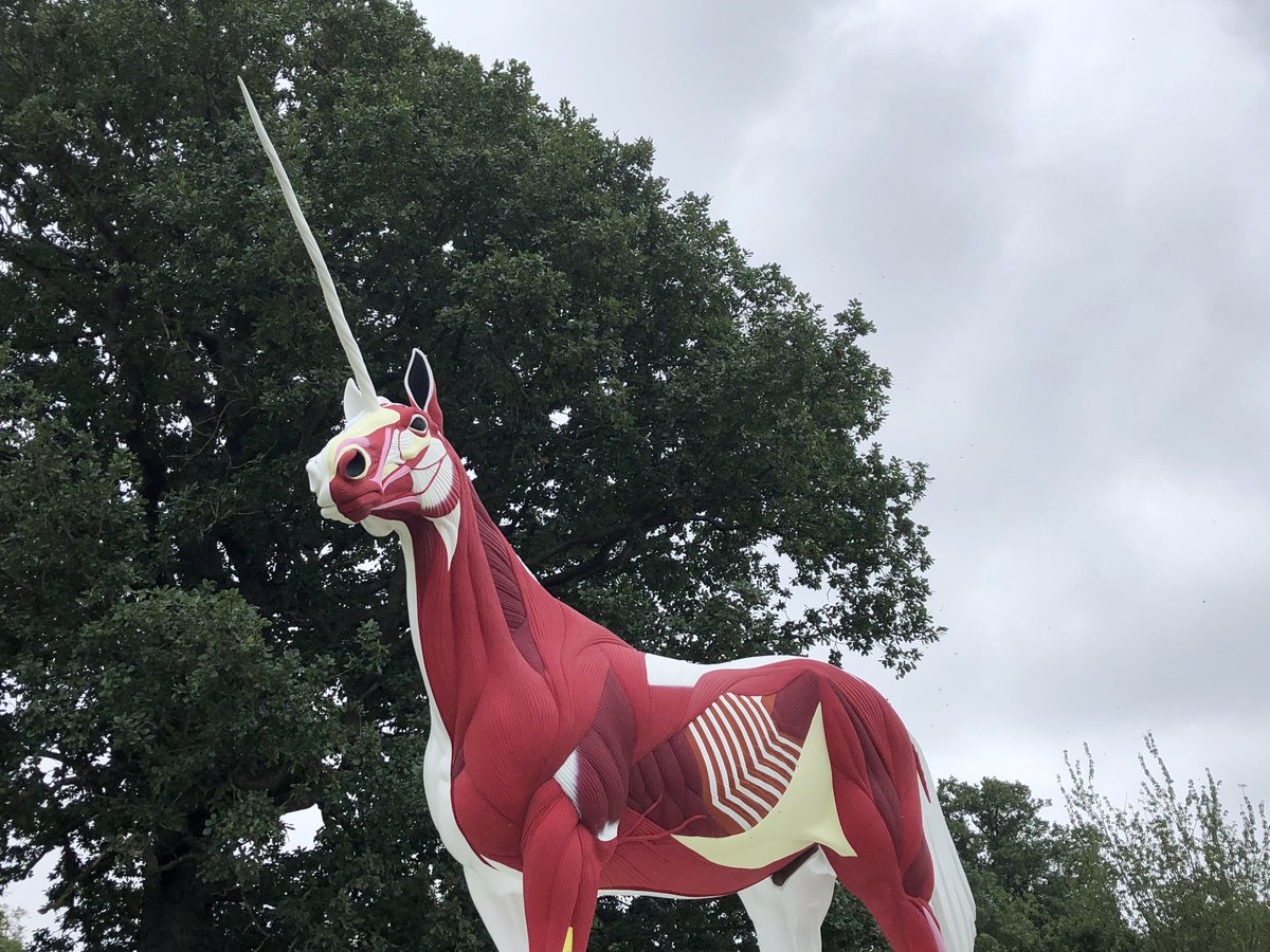 Damien Hirst's Myth, which is an already mundane looking unicorn with half the skin "off", apparently meant to demonstrate a sort of coporeality behind the fantastical but feel flat for me given how uninspiring the skin-on side is, & skin off side just not quite visceral enough.