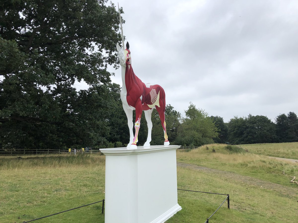Damien Hirst's Myth, which is an already mundane looking unicorn with half the skin "off", apparently meant to demonstrate a sort of coporeality behind the fantastical but feel flat for me given how uninspiring the skin-on side is, & skin off side just not quite visceral enough.