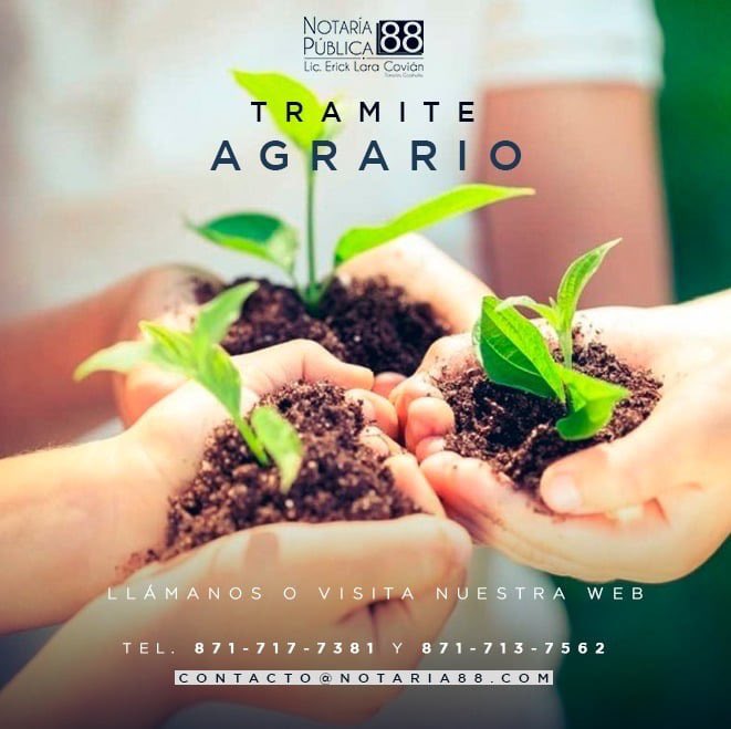 88notaria's tweet photo. ¿Tienes algún trámite que realizar sobre tierras ejidales?, infórmate con nosotros de una manera segura.
.
.
.
#Notaría88 #notaríapública88 #somosla88 #FuerzaLegal #tramiteslegales #asesorialegal #AsesoríaGratuita https://t.co/V1GXMWI0T7
