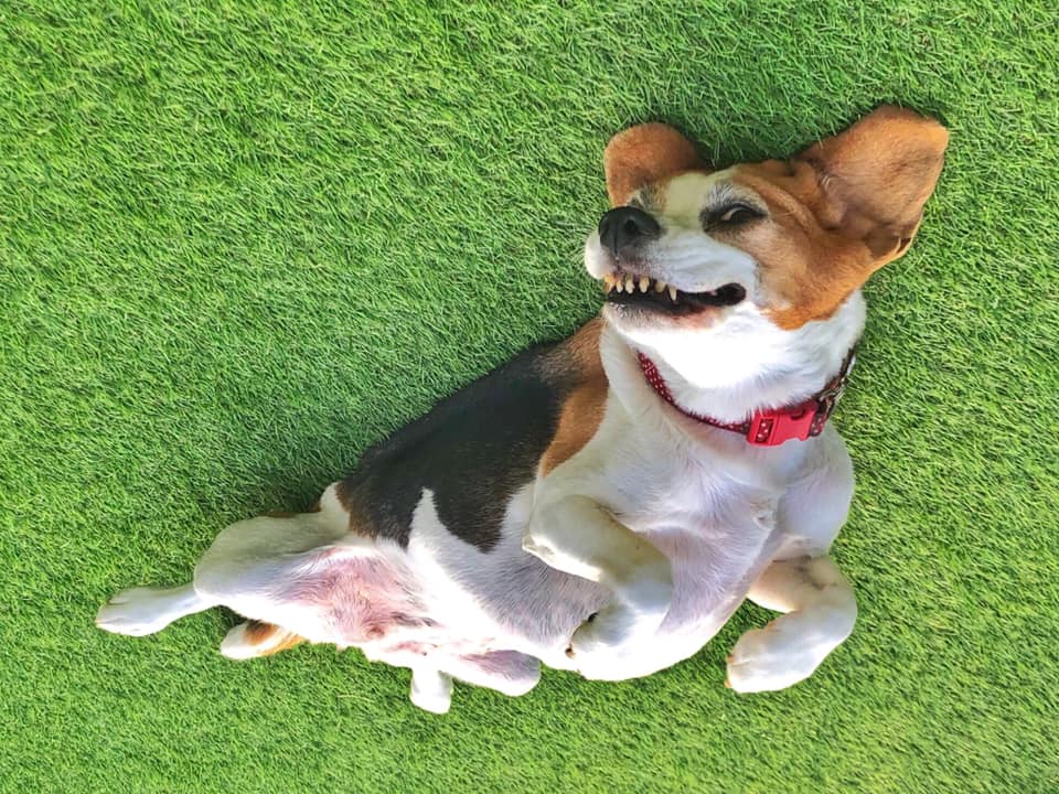 Ruby Garamond tweet media