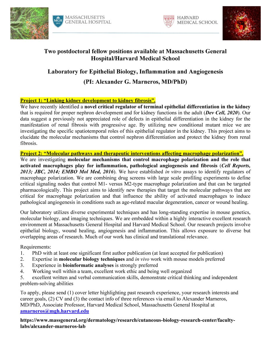 Marneros Laboratory tweet media