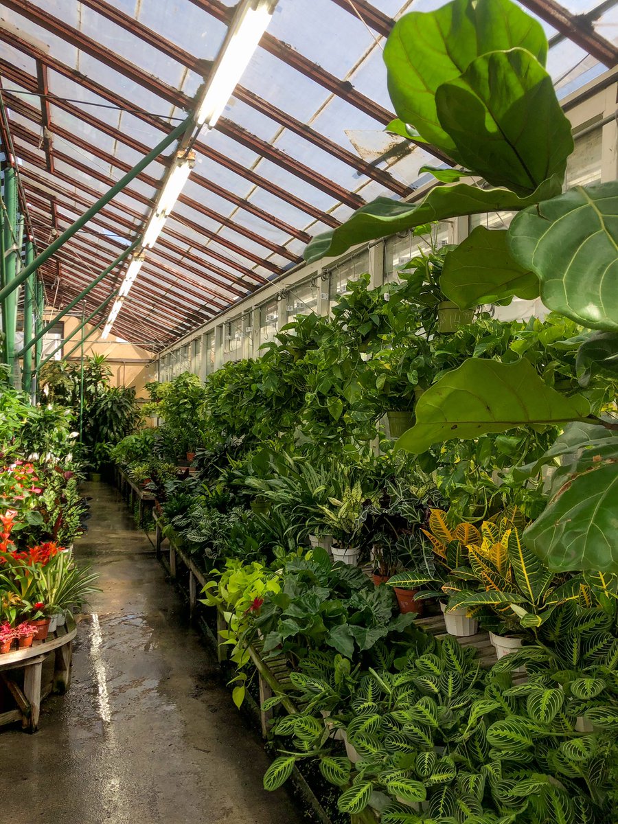etherealartiste's tweet photo. Heaven on earth 🌱✨ https://t.co/LwDanzoKRm
