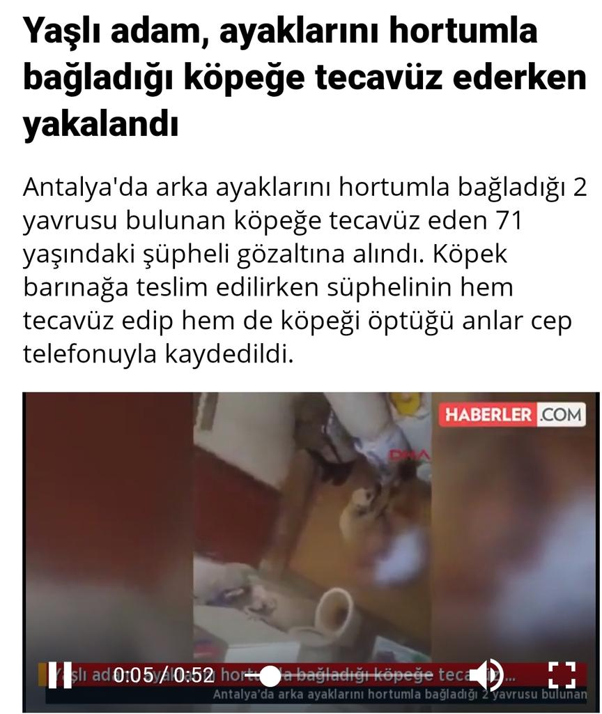 carmenroyld's tweet photo. #HayvanHaklarıYasasıHemen  #HayvanaSiddetSuctur https://t.co/5KPWeHk7vx