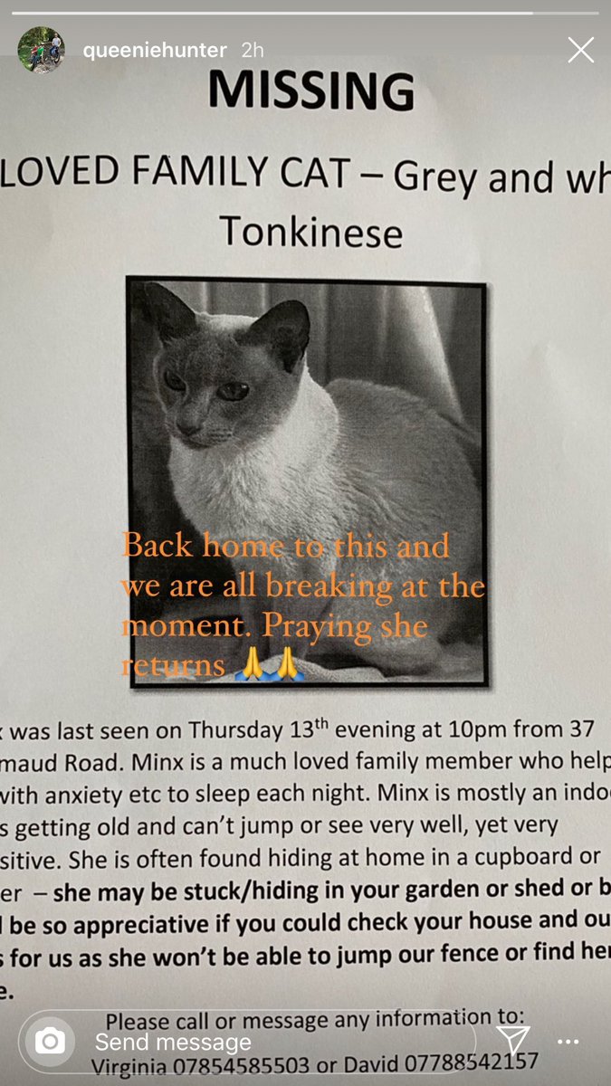 #MISSINGCAT from #elsiemaudroad #se4 #LONDON. She’s frail &amp; blind and an indoor cat so unused to traffic etc. Desperately missed. Pls check out buildings etc. Pls #RT. #Se23lost #se4lost #se13lost #lostcats #se23 #se4 #se6 #se13 #plsrt #brockley #foresthill #catford #lewisham