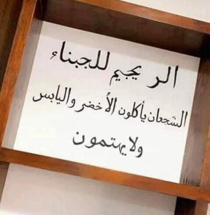 hala_helal's tweet photo. 😂😂 https://t.co/dLHkPx9LeU