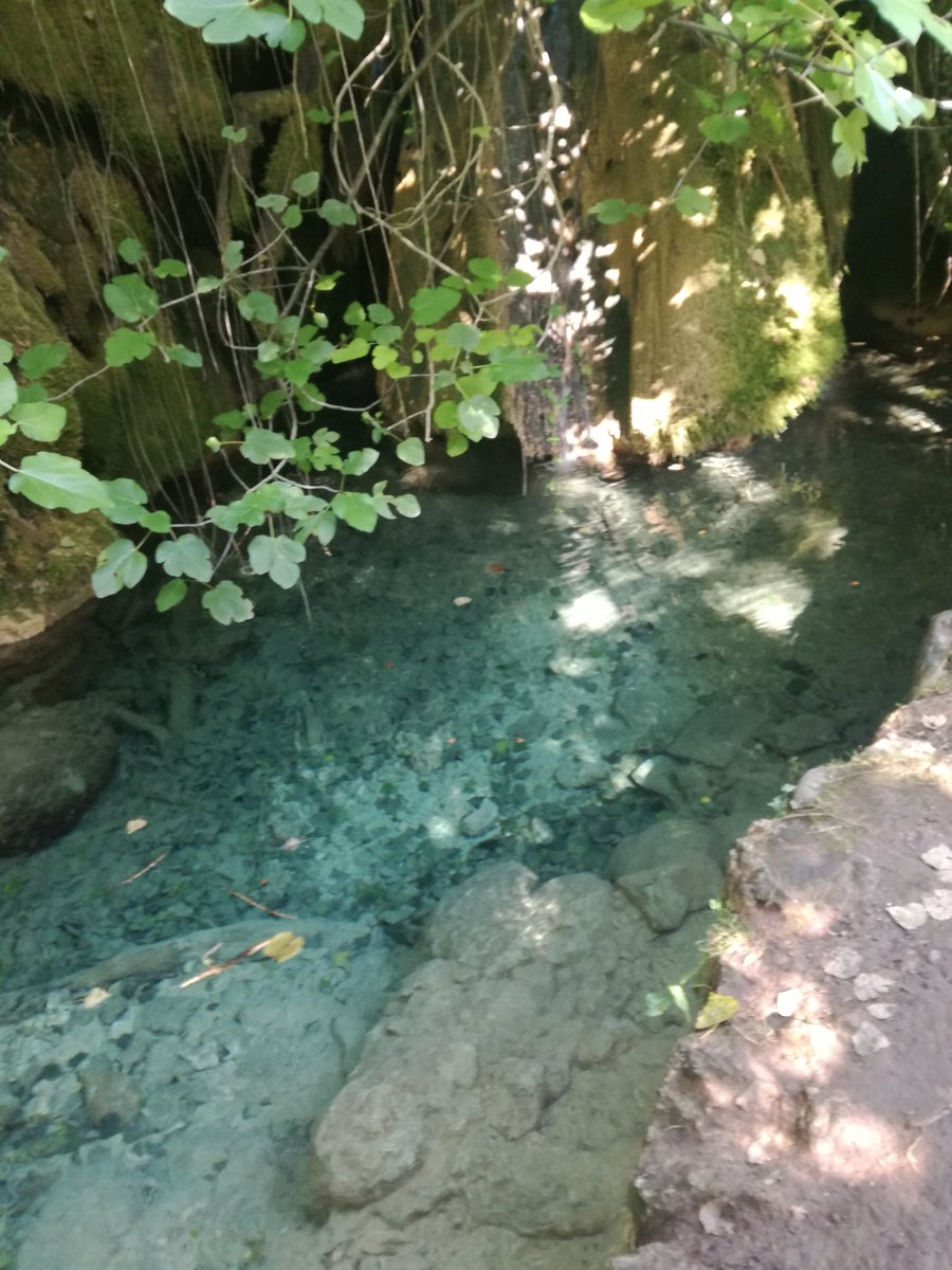 AssumptaFiguera's tweet photo. #Excursions #Senderisme #Muntanya #Aigua #PallarsJussà #Rivert #AraLleida #Pyreenees #Natura #CatalunyaFoto #DescobreixCatalunya #PaissatgesCatalunya #Raconde_Catalunya #Pirineus #Estiu #IgersLleida #Catalunya_alNatural https://t.co/glAdMGkYLX