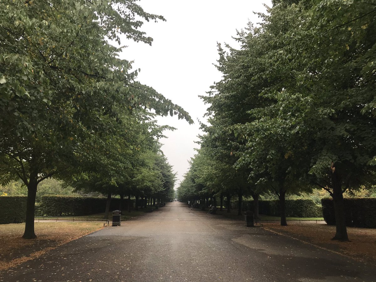 danielwolf77's tweet image. A walk in Regent’s Park today. 🙂