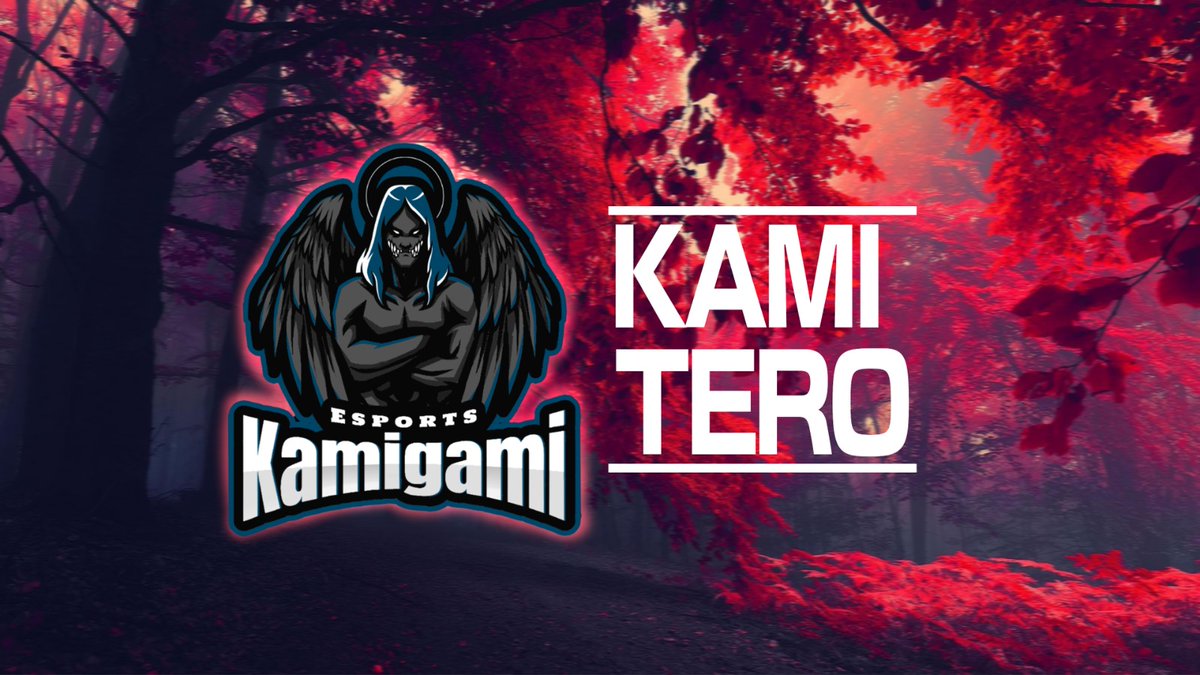 KamiTero's tweet photo. Danke an @KamigamiEsports @Thalea_Art @Kevko_TV für diese Klasse Designs ❤️ KGE ‼️ https://t.co/xbiDjRYpVz