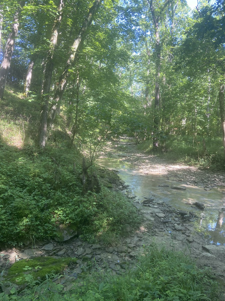laurap2874's tweet photo. Pretty much my main jam these days. Hiking with the pup! https://t.co/HsKahm21jL