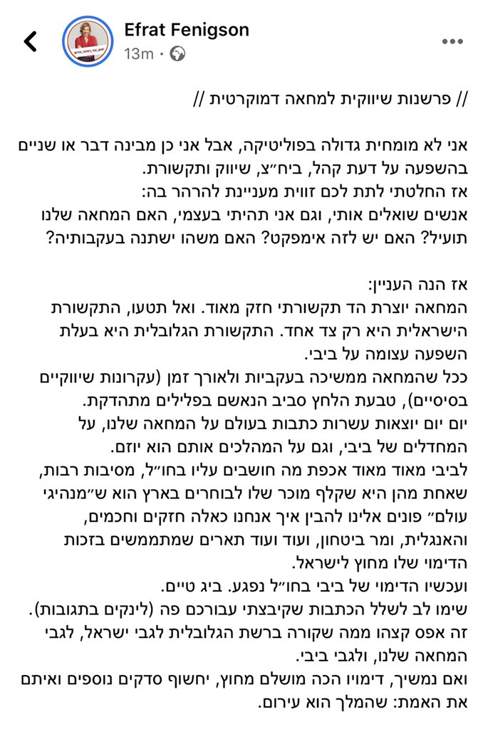 efenigson's tweet photo. הפרשנות השיווקית שלי למחאה הדמוקרטית: https://t.co/S9DwEWPljr https://t.co/ywbs30u7bU