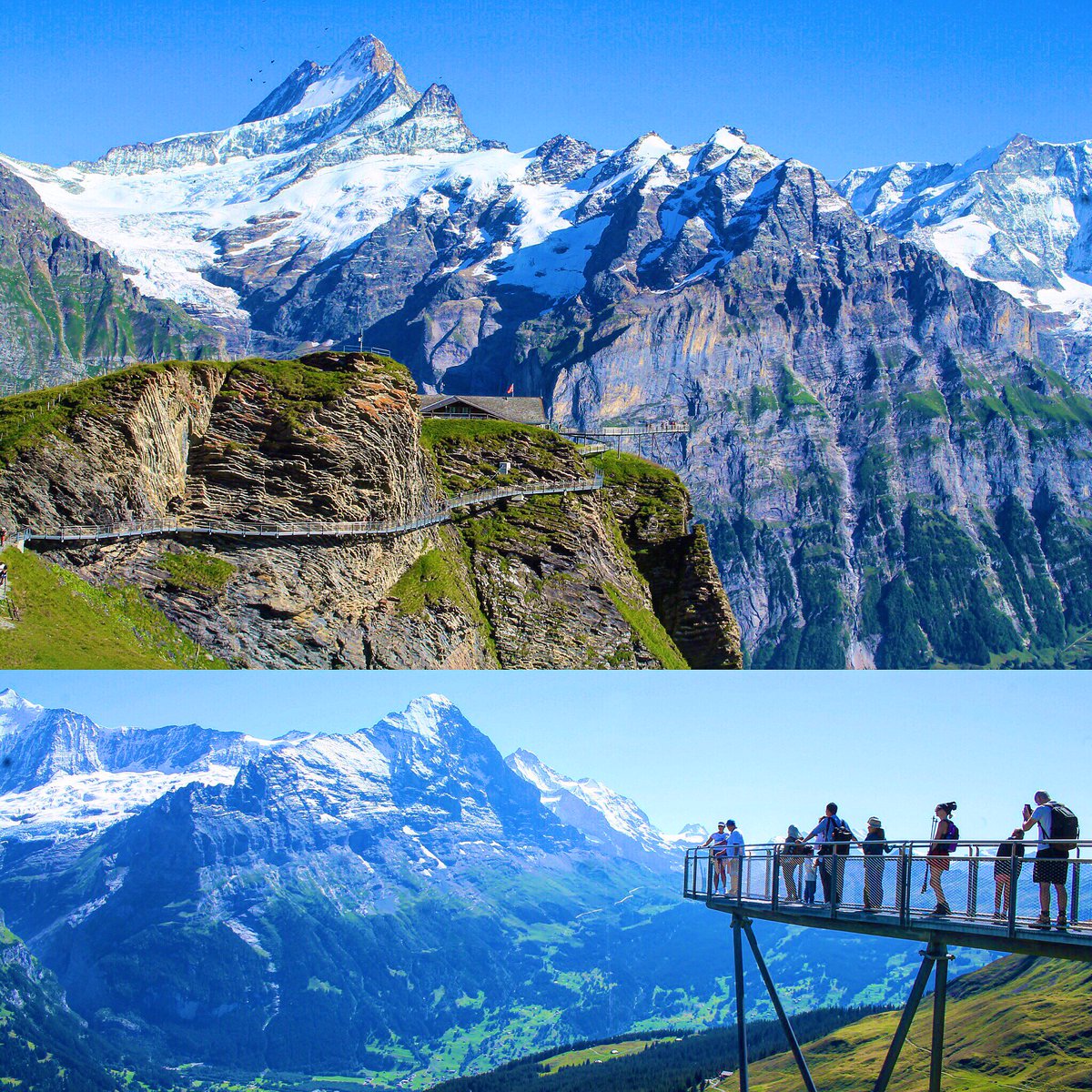 Travelsandphoto's tweet photo. First cliff walk by Tissot, une plateforme vertigineuse au dessus du vide. Accessible après une ascension de 25 min en télécabine 🚠 #firstcliffwalk #grindelwald #Swiss #Switzerland #alpessuisses #jungfrau #jungfrauregion #europe @MySwitzerland_f #montagne @MySwitzerland_e https://t.co/0w1nk0Ymut