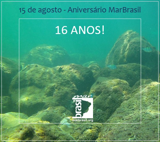 Completamos hoje 16 anos!!!

Comemoramos vários momentos incríveis, de pesquisas realizadas, de parcerias efetivadas, de inovações colocadas em prática e de produção de natureza mantida via conservação e proteção da biodiversidade.