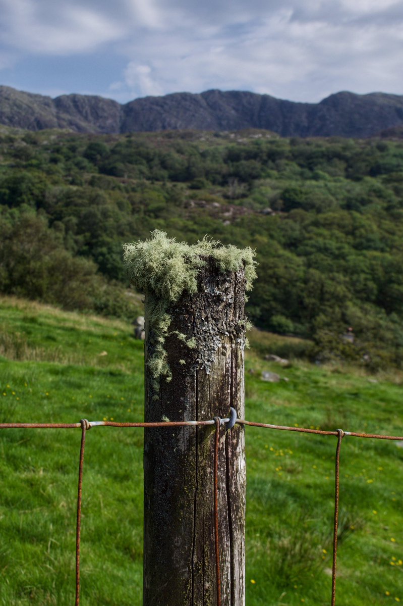 Wonder how many likes this post will get 😂