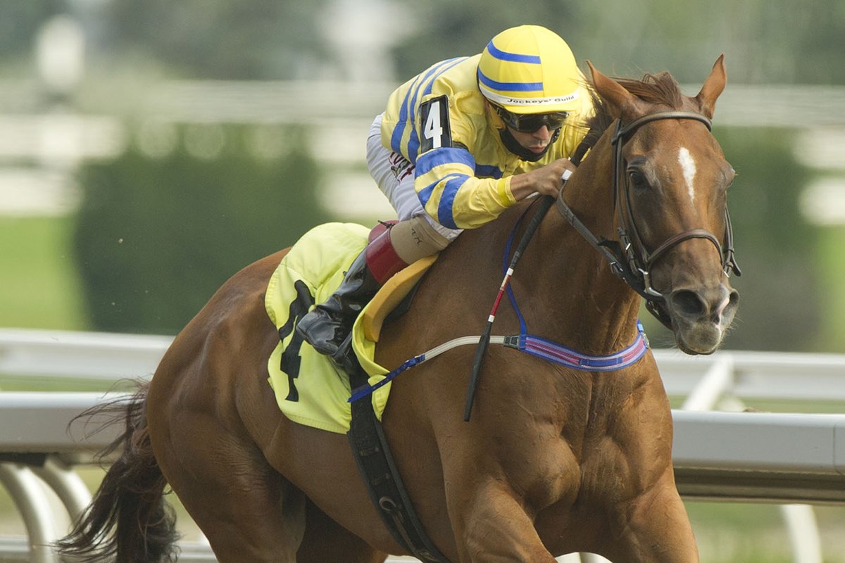 WoodbineMayotte's tweet photo. Third time’s a charm for Bold Venture champ Pink Lloyd: https://t.co/UE6ijwofvV (Michael Burns Photos) #BetWoodbineTB #GoPinkyGo https://t.co/CY7uwUgOf8