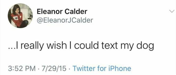 harrytomlinsonp's tweet photo. Eleanor in 2015 published this, and two weeks later she broke up with Louis, today she published the same ... draw your own conclusions #larryproof #larrystylinson https://t.co/vdKhMDjtcF