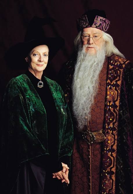 wanted_expas's tweet photo. Albus korkarım hogwartsi kapatmak zorunda kalicaz corona salgını Türklerde bulaşmış. Hogwarts artık güvende değil. #HarryPotterVeSırlarOdası https://t.co/aE6kBEVNoP