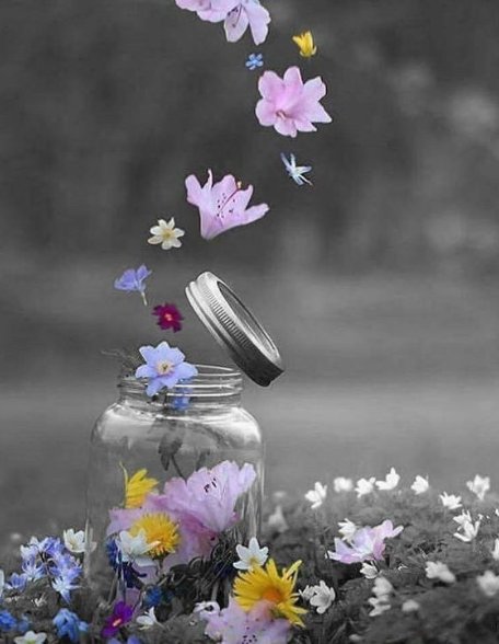 الناضج يتحمّل مسؤوليّة مشاكله النفسيّة ويحاول حلّها، أما محاولة توجيه اللوم على الأشخاص والظروف المتسبّبين بالمشكلة ليس إلا اعترافًا ضمنيًّا بضعفك،،،!!