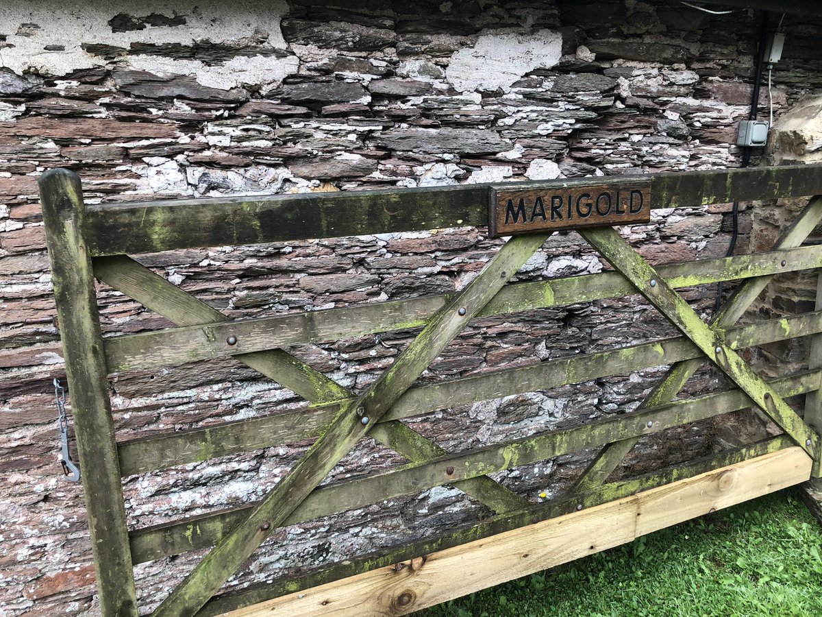 Ranson_PJ's tweet photo. Day 15 #WeActiveChallenge #AHPsActive #NursesActive Lower step count again but 274 miles driven back from the beautiful South Devon Coast to a Sunny Manchester π #Packingandunpacking #WateringNotSwimmingTonight #ThankYou @Ranson02 @EJRanson @Jmr_906 https://t.co/g8SUyBpsP7
