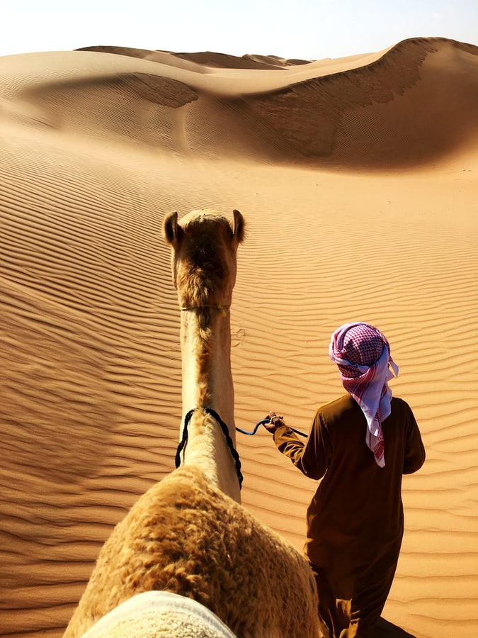 Where2NextT's tweet photo. From the city center of Dubai, you can be in the Arabian desert in less than 20 minutes. Venture out on a morning, afternoon or evening luxury desert safari.
Helping you see the WORLD, one experience at a time.®
#Where2NextTravelLLC #LuxuryTravel #DestinationUAE🇦🇪 https://t.co/zuFfkRh4ys