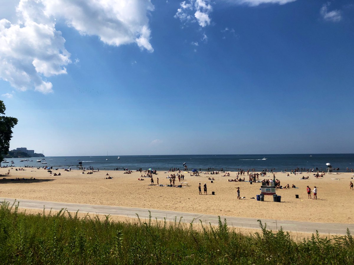 Ian Meadows tweet media